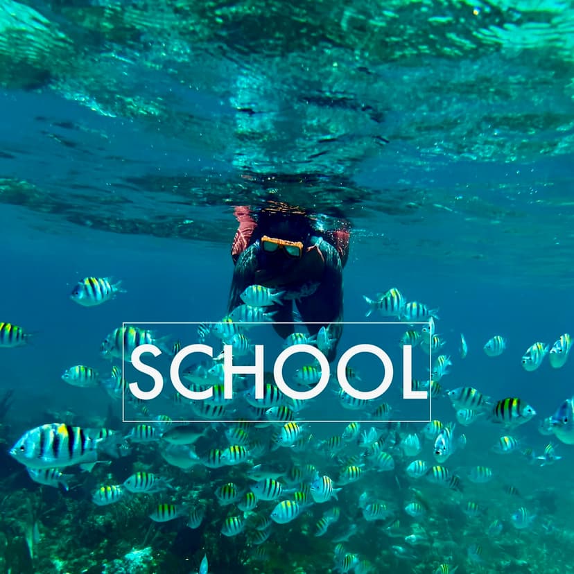 Sheldon snorkeling in Jamaica