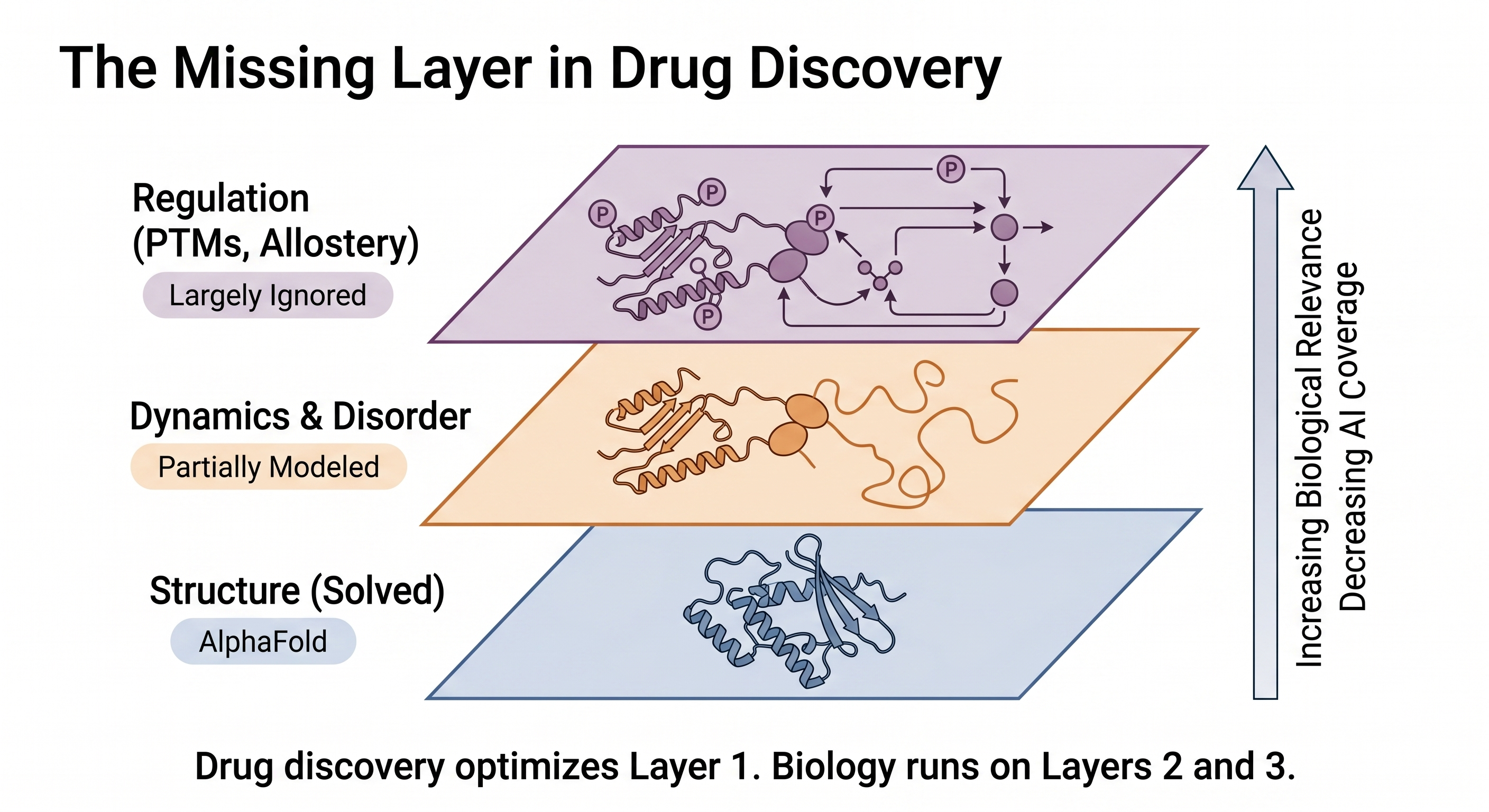 The Missing Layer in Drug Discovery: a stack of three planes — Layer 1 Structure (solved, AlphaFold, blue), Layer 2 Dynamics & Disorder (partially modeled, orange), Layer 3 Regulation including PTMs and allostery (largely ignored, purple). An arrow on the right shows increasing biological relevance and decreasing AI coverage as you move up the stack. Caption reads 'Drug discovery optimizes Layer 1. Biology runs on Layers 2 and 3.'